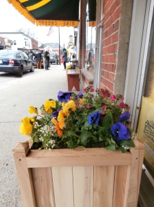 concordma-cheese-shop-flowers